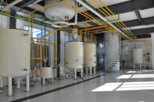 胥加宽 身残志坚勇创业，食用油香飘助残路