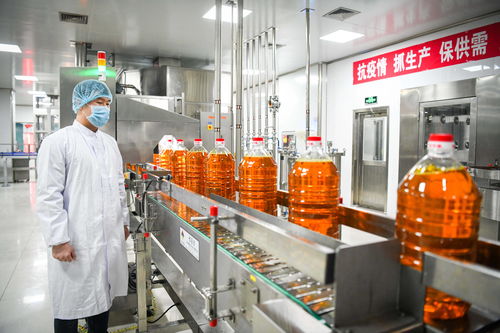 在高水平开放中迈向振兴 外资加大投资东北现象观察与油脂产业发展新机遇